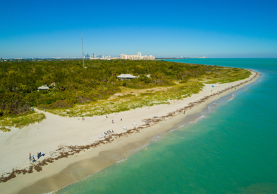 Vortex Guide to Miami’s Best Water Sport Destinations