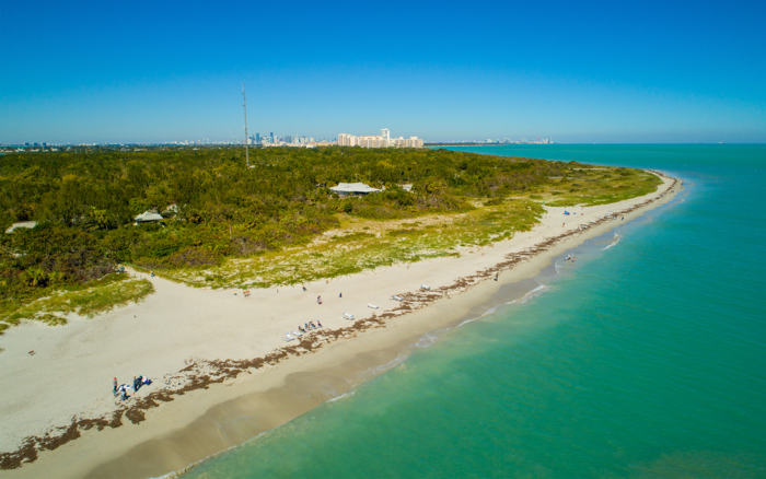 Vortex Guide to Miami’s Best Water Sport Destinations