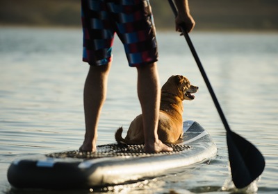 Top Tips for Paddleboard Fun on Your Vortex