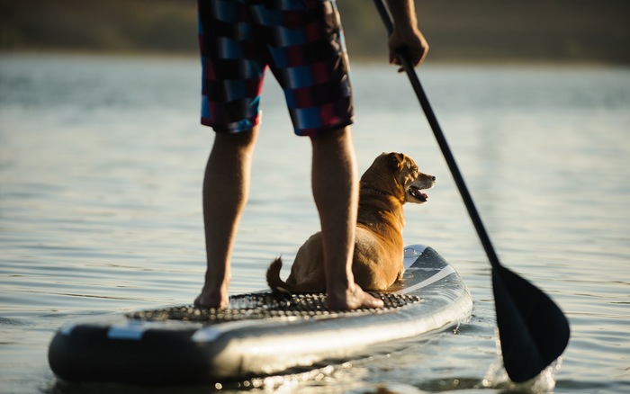 Top Tips for Paddleboard Fun on Your Vortex